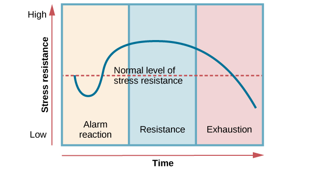 General Adaptation Syndrome Graph